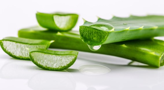 Té de aloe vera