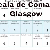 Escala de Glasgow: Qué Es y Para Qué Sirve