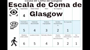 Escala de Glasgow: Qué Es y Para Qué Sirve