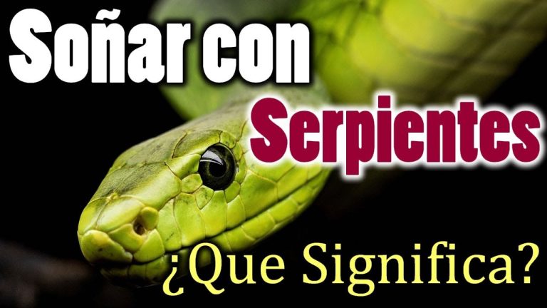 ¿Qué significa soñar con serpientes?