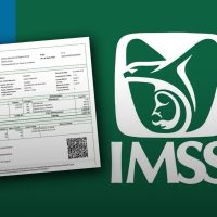 Tarjetón IMSS: Lo que tienes que saber sí o sí