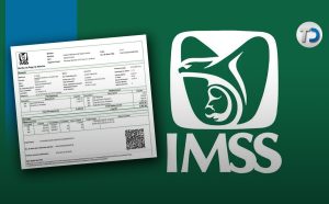 Tarjetón IMSS: Lo que tienes que saber sí o sí